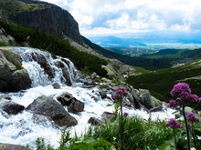 Mountain Stream In High Tatras Mountains, Slovakia