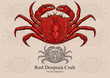 Red Deepsea Crab. Vector illustration for artwork in small sizes. Suitable for graphic and packaging design, educational examples, web, etc.
