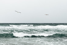 Two Seagulls Flying Over The Waves, Minimalist Seascape