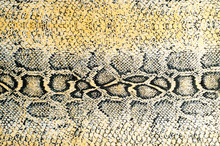 Silk Fabric Texture, Background, Painted Snake Skin