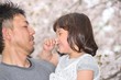 © godfather - 桜の花を楽しむファミリー