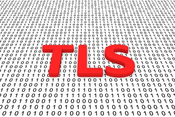 Wall Mural - tls in the form of binary code, 3d illustration