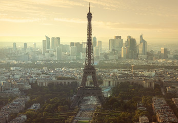 Wall Mural - Aerial view of Paris