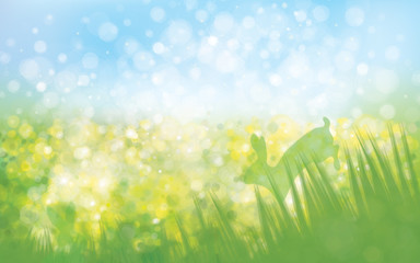 Wall Mural - vector rabbits in grass nature background.