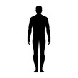 Human front side Silhouette. Isolated on White Background. Vector illustration.