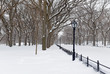 Central Park during middle of snowstorm with snow falling in New York City