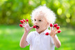 © famveldman - Child picking and eating raspberry in summer