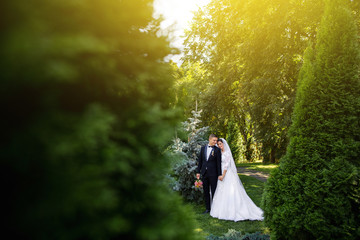  Toned wedding photo, stylish bride and groom in green park