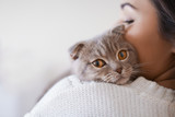 Fototapeta Koty - Beautiful young woman with cute cat resting at home