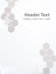 Wall Mural - Vector Abstract geometric White background. Template brochure design. Gray hexagon shape