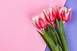 Tulips on pink surface. Just because I love you.