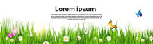 Spring Landscape Green Grass Flower Butterfly Land Banner Flat Vector Illustration