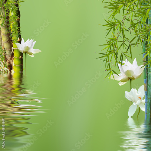 Decor Asiatique Zen Bouddha Bambou A Noeud Et Lotus Stock Photo Adobe Stock Decor Asiatique Zen Bouddha Bambou A Noeud Et Lotus Stock Photo Adobe Stock