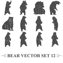 набор векторных медведей