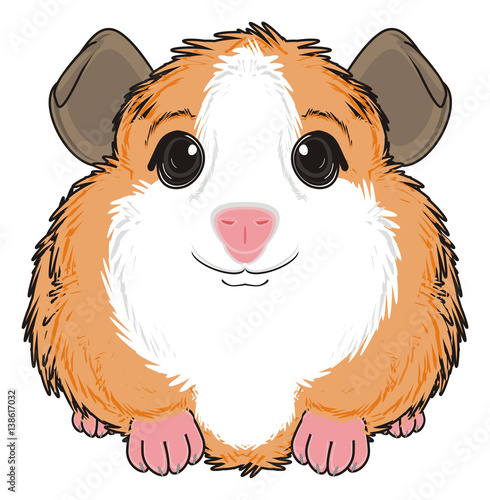 photo Cartoon Cute Guinea Pig Pictures animal cartoon cute funny toy rubs
