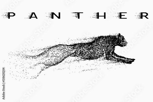 Foto  Attack motion of panther