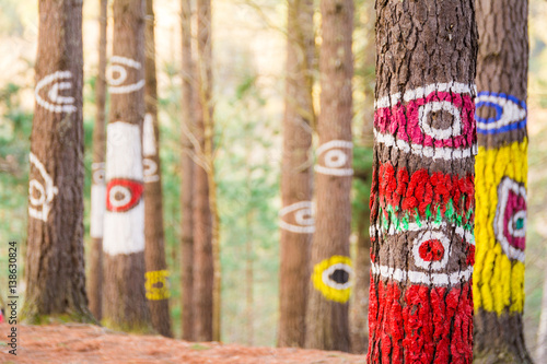 painted forest of oma at urdaibai biosphere, Spain Poster