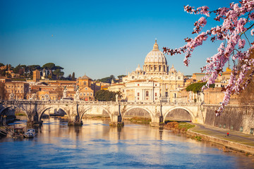 Fototapete - View at Tiber and St. Peter's cathedral in Rome