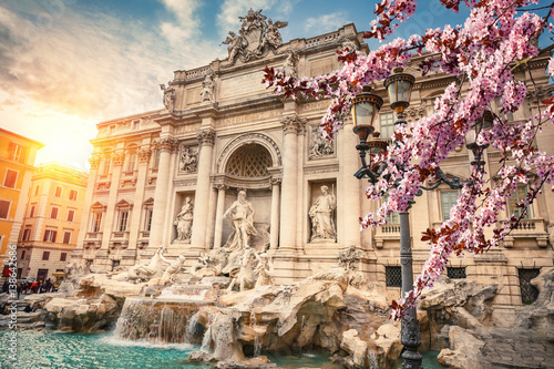 fontanna-di-trevi-i-kwiaty-wisni-na-pierwszym-planie