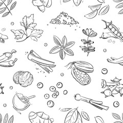 Wall Mural - Fresh herbs and spices doodle hand drawn vector seamless pattern