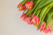 A bouquet of tulips