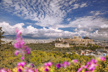 Wall Mural - Parthenon temple during spring time on the Athenian Acropolis, Greece