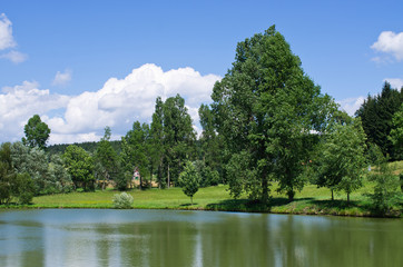 Sticker - Pond surrounded by green meadows