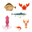 Sea food cartoon icon set. crab lobster shrimp squid