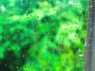  Abstract background with rain drops on window glass and green unfocused background