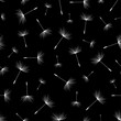 Seamless pattern black with dandelion fluff silhouette