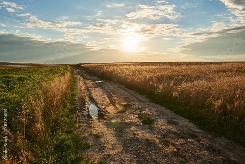 Polna droga wśród pól zboża