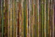 Bamboo fence background texture