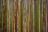 Fototapeta Sypialnia - Bamboo fence background texture