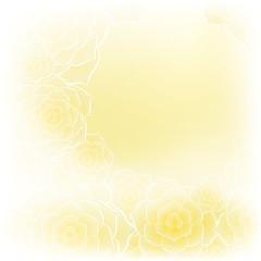 Poster - Beautiful yellow creamcoloured rose flower background