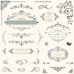 Wall Mural - calligraphy swirls, swashes, ornate motifs and scrolls. vector illustration.