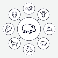 Wall Mural - Set of 9 mammal outline icons