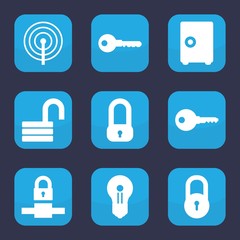 Poster - Set of 9 filled password icons