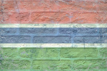 Canvas Print - Vintage Gambia flag texture