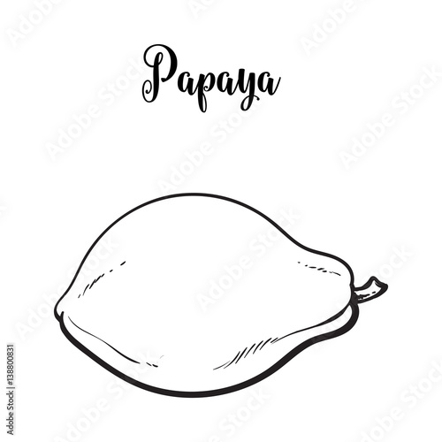 47+ Papayas Drawing Pics