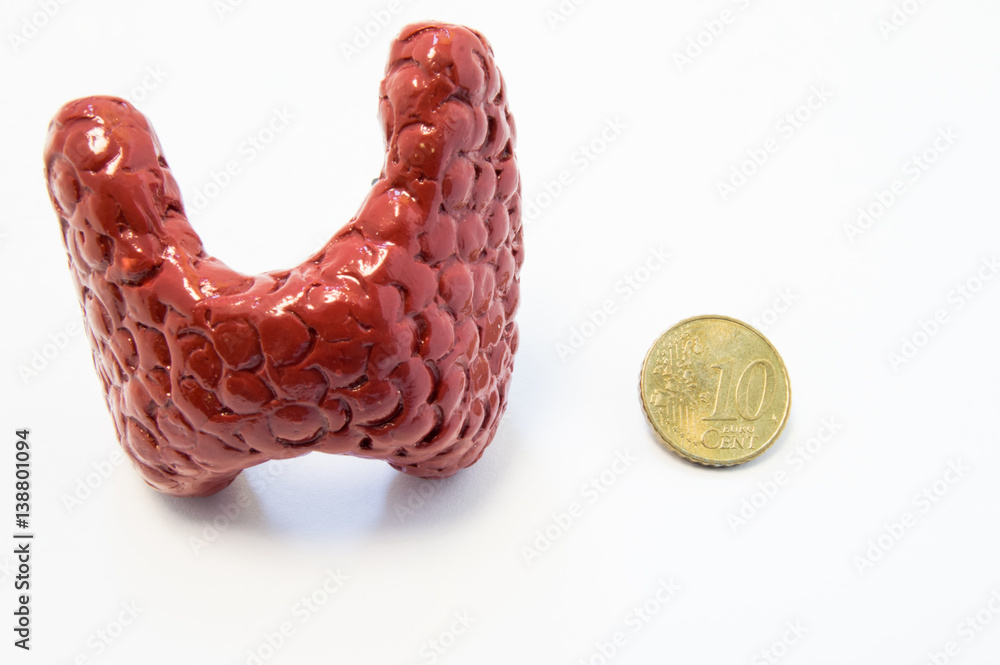 Concept of visualization of enlarged thyroid gland in various diseases ...