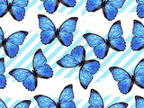 Seamless exotic pattern with blue tropical butterflies. Endless texture vector background. Perfect for wallpapers, web page, surface textures, textile