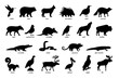 Large set of silhouettes of animals of North America
