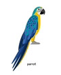 Parrot - unmatched sound simulator with beautiful plumage