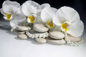 Wall Mural - white orchids and pearls lie on the rocks