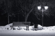 Bench Under Winter Trees And Shining Street Lantern, Falling Snowflakes