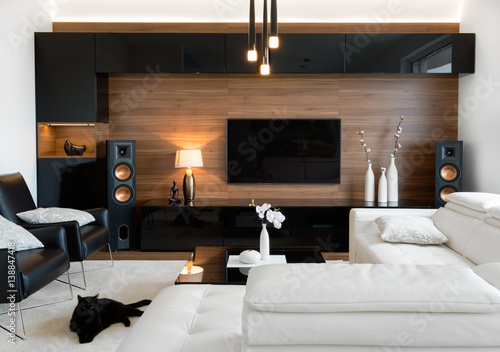 Fotomural Modern living room with stereo speakers