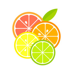Wall Mural - Citrus slices icon