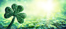 Patrick Day Symbol - Shiny Clover In Green Field
