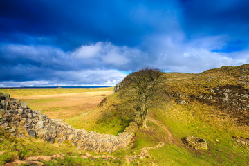 The iconic Sycamore Gap on Hadrian's Wall, Northumberland, England