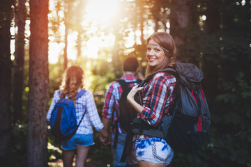Wall Mural - group of backpacking hikers going for forest trekking